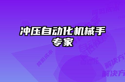 沖壓自動化機械手專家