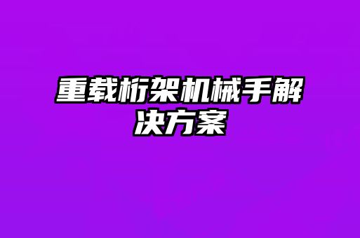 重載桁架機械手解決方案