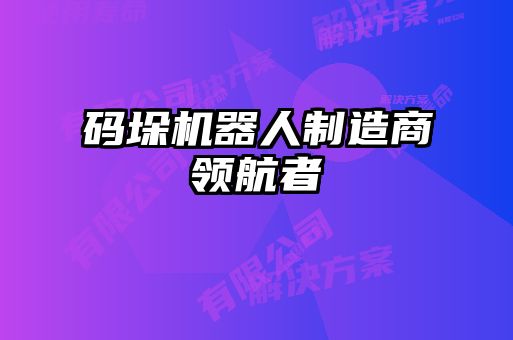 碼垛機(jī)器人制造商領(lǐng)航者