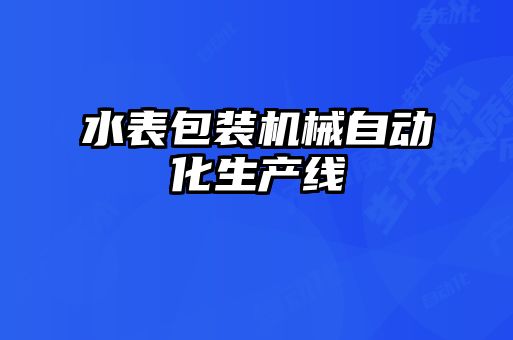 水表包裝機械自動化生產(chǎn)線