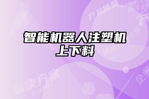 智能機器人注塑機上下料