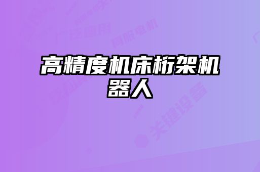 高精度機床桁架機器人