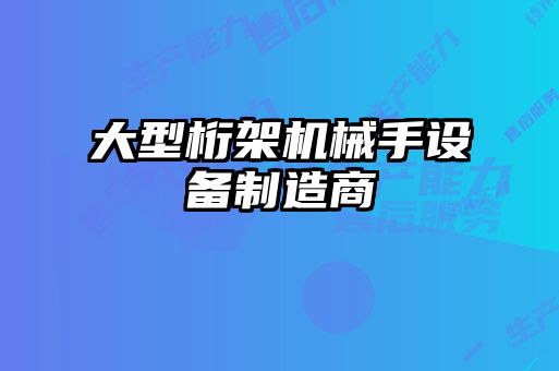 大型桁架機械手設(shè)備制造商