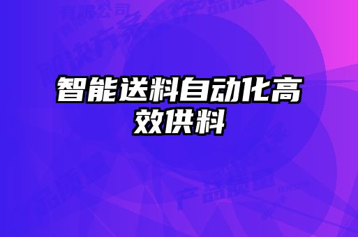 智能送料自動(dòng)化高效供料