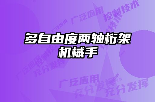 多自由度兩軸桁架機械手