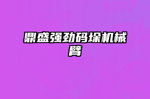 鼎盛強勁碼垛機械臂