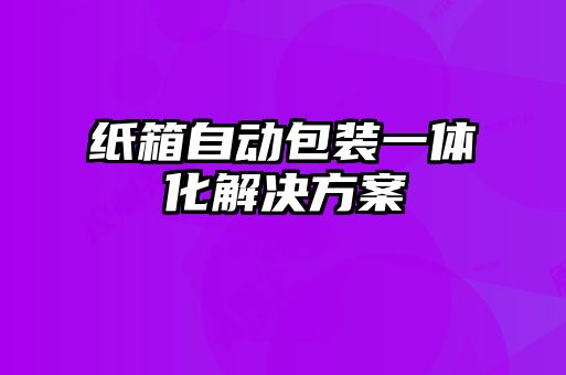 紙箱自動包裝一體化解決方案