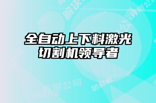 全自動(dòng)上下料激光切割機(jī)領(lǐng)導(dǎo)者