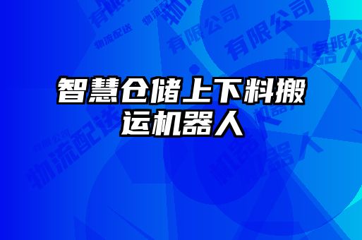 智慧倉儲(chǔ)上下料搬運(yùn)機(jī)器人