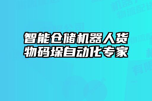 智能倉儲機器人貨物碼垛自動化專家