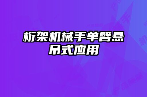 桁架機械手單臂懸吊式應用