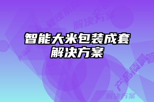 智能大米包裝成套解決方案