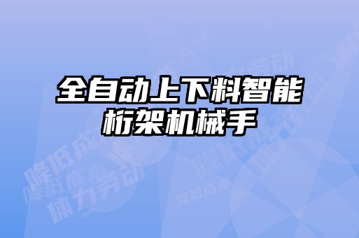 全自動上下料智能桁架機械手