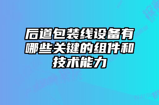 后道包裝線設備有哪些關鍵的組件和技術能力