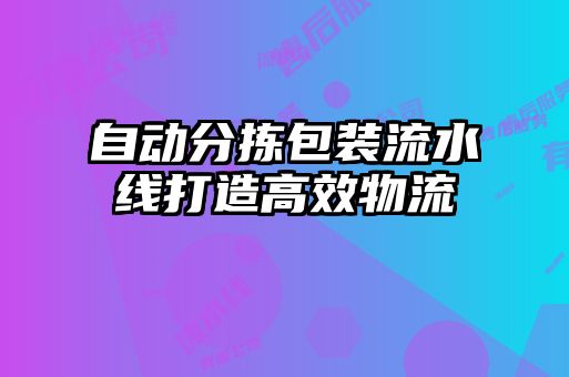 自動分揀包裝流水線打造高效物流