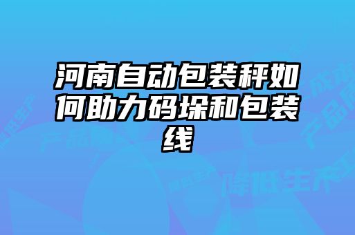 河南自動(dòng)包裝秤如何助力碼垛和包裝線