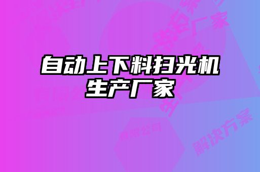 自動上下料掃光機生產廠家