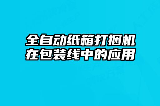 全自動紙箱打捆機在包裝線中的應(yīng)用