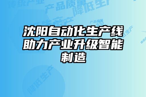 沈陽自動(dòng)化生產(chǎn)線助力產(chǎn)業(yè)升級(jí)智能制造