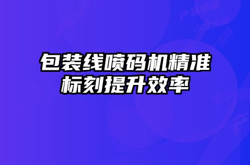 包裝線噴碼機(jī)精準(zhǔn)標(biāo)刻提升效率