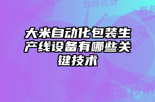 大米自動化包裝生產(chǎn)線設(shè)備有哪些關(guān)鍵技術(shù)