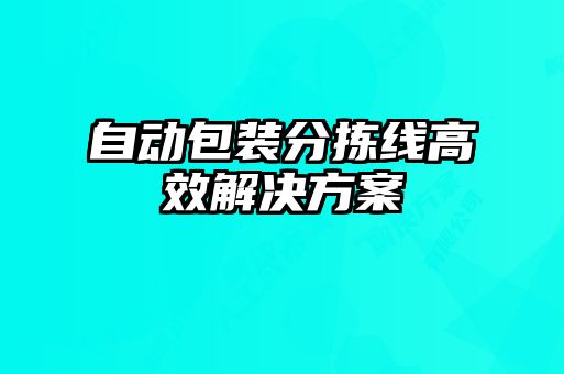 自動包裝分揀線高效解決方案