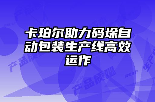 卡珀?duì)栔Υa垛自動(dòng)包裝生產(chǎn)線(xiàn)高效運(yùn)作