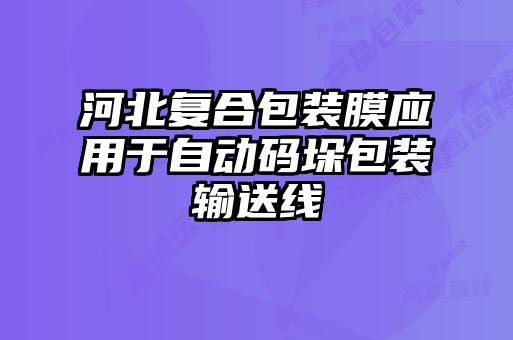 河北復(fù)合包裝膜應(yīng)用于自動碼垛包裝輸送線