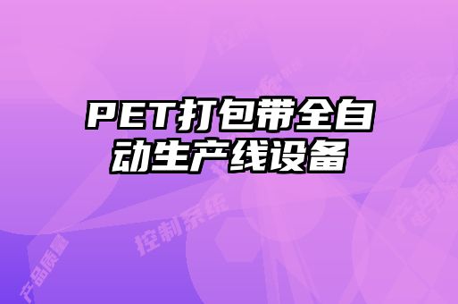 PET打包帶全自動(dòng)生產(chǎn)線設(shè)備