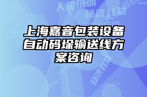 上海嘉音包裝設(shè)備自動碼垛輸送線方案咨詢