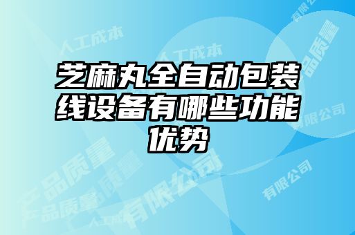 芝麻丸全自動包裝線設(shè)備有哪些功能優(yōu)勢