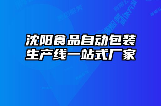 沈陽食品自動包裝生產(chǎn)線一站式廠家