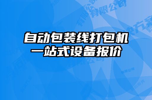 自動包裝線打包機一站式設(shè)備報價