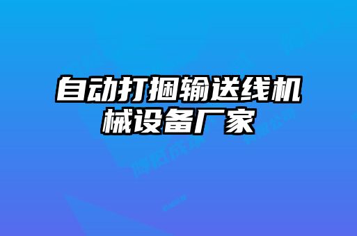 自動(dòng)打捆輸送線(xiàn)機(jī)械設(shè)備廠家