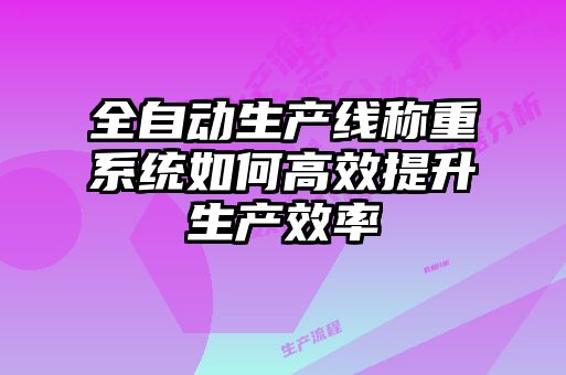 全自動生產線稱重系統(tǒng)如何高效提升生產效率