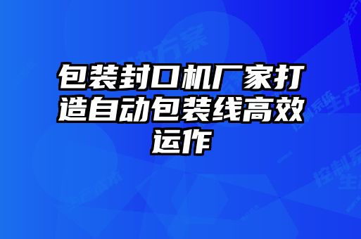 包裝封口機(jī)廠家打造自動包裝線高效運(yùn)作